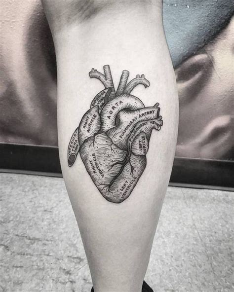 tatuaje de corazón humano|tatuajes de corazones ideas.